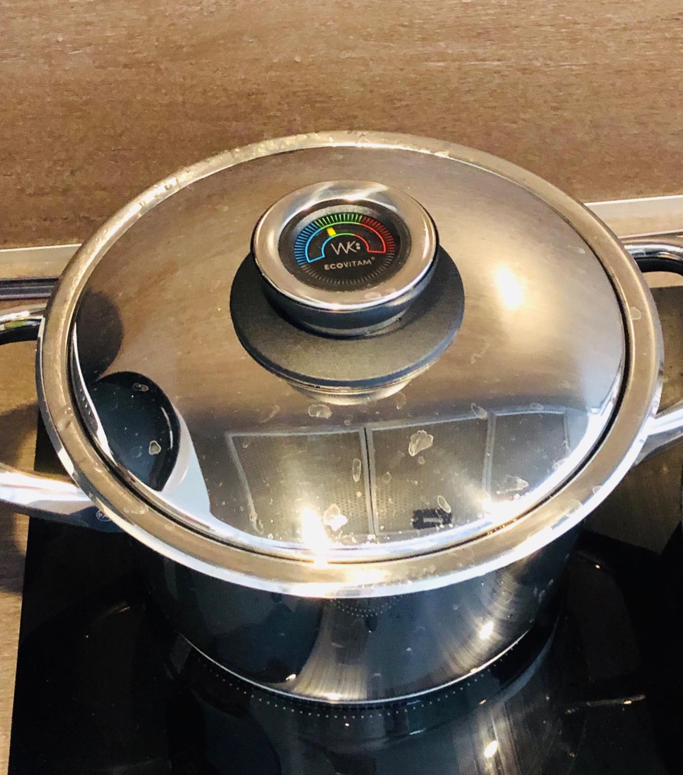 Ecovitam faitout inox 18/10 20 cm 3,8 L thermomètre