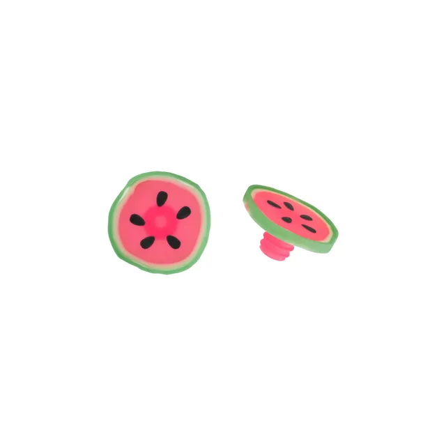 Charles Viancin Watermelon bouchon bouteille silicone