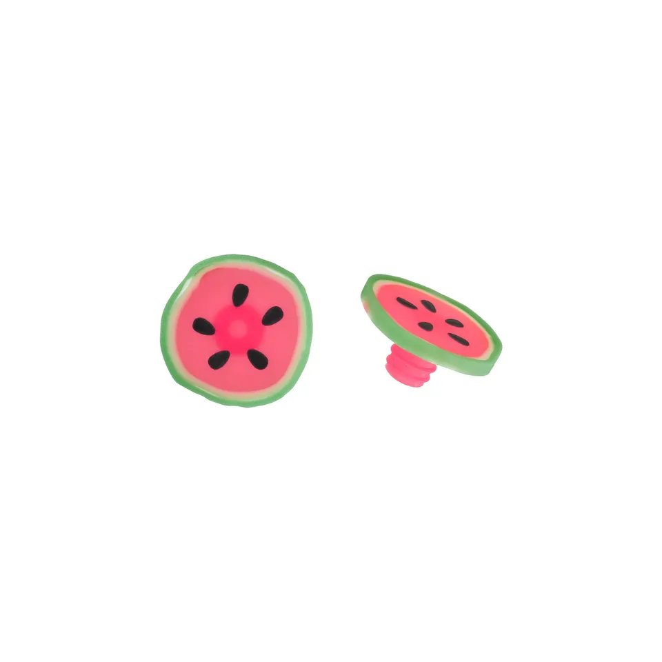 Charles Viancin Watermelon bouchon bouteille silicone