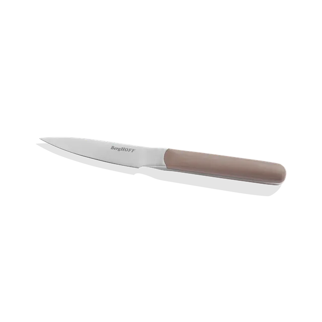 Berghoff Elements couteau d'office inox lame lisse