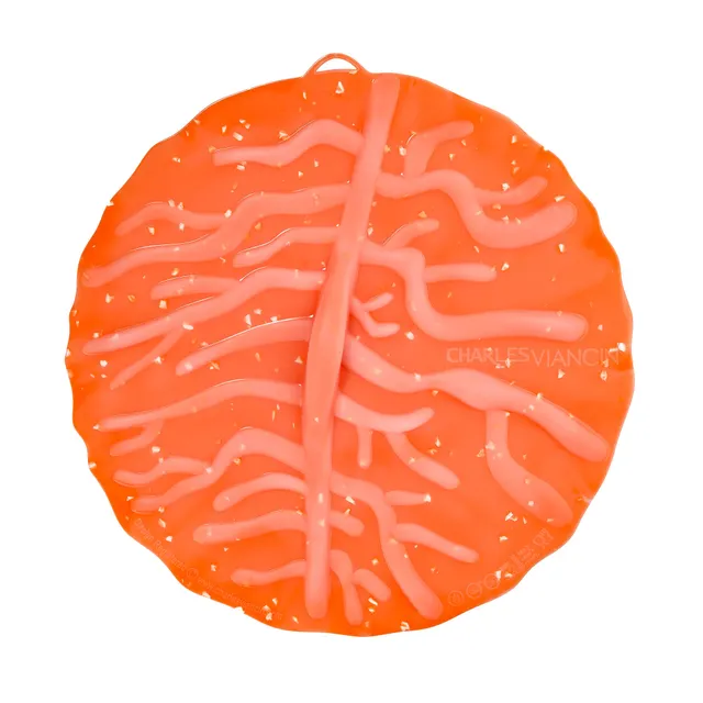 Charles Viancin Coral couvercle silicone 28 cm corail