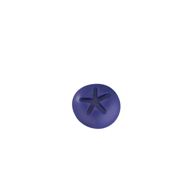 Charles Viancin Blueberry bouchon bouteille silicone myrtille