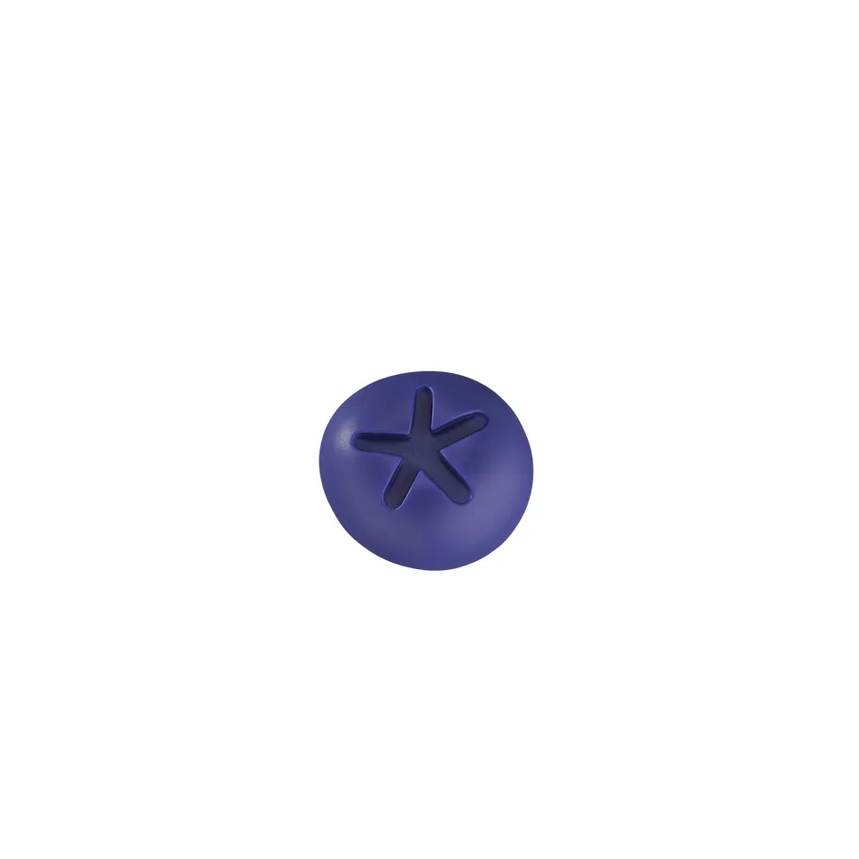 Charles Viancin Blueberry bouchon bouteille silicone myrtille